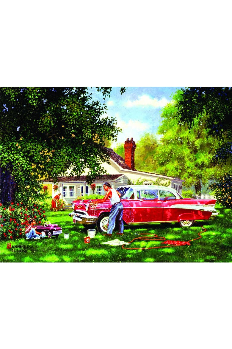 Wash Me 300 piece Jigsaw Puzzle for Adults, Alternate, color, Multicolor