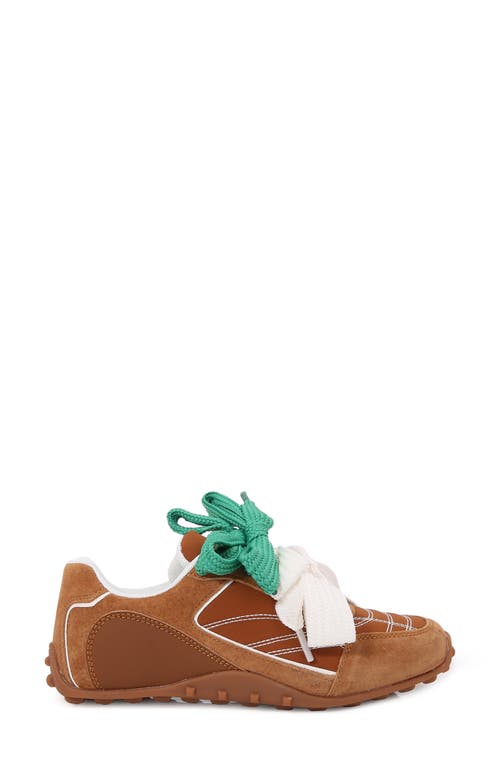 Berness Ribbon Lace Sneaker In Brown
