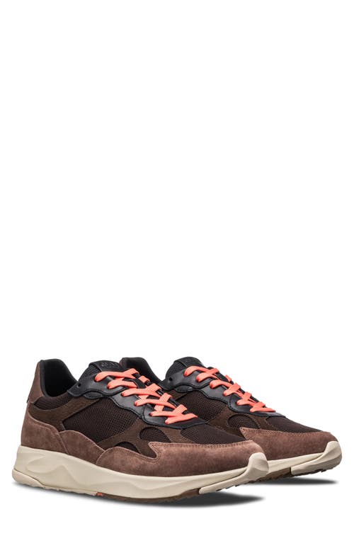 Clae Zuma Sneaker In Multi