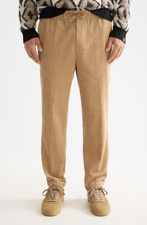 Scotch & Soda Fave Loose Tapered Cotton Corduroy Joggers In Brown