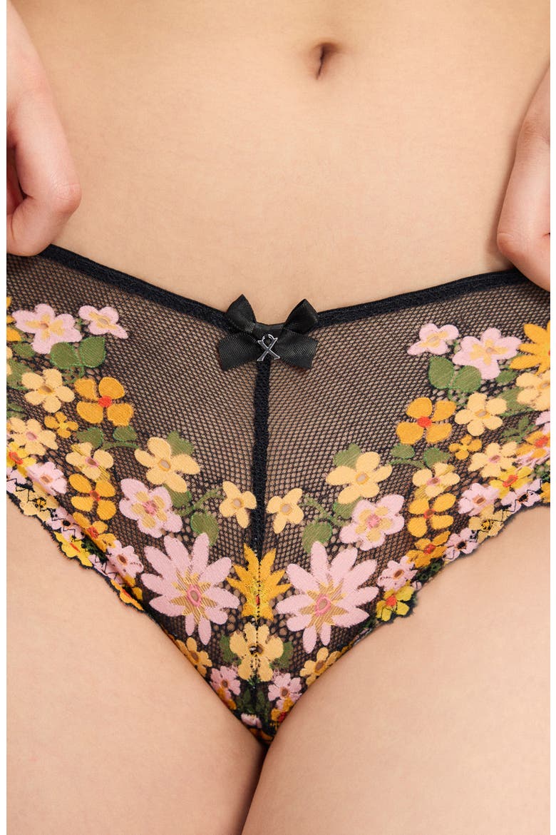 Wonderfleur Cheeky Briefs, Alternate, color, BLACK CAVIAR