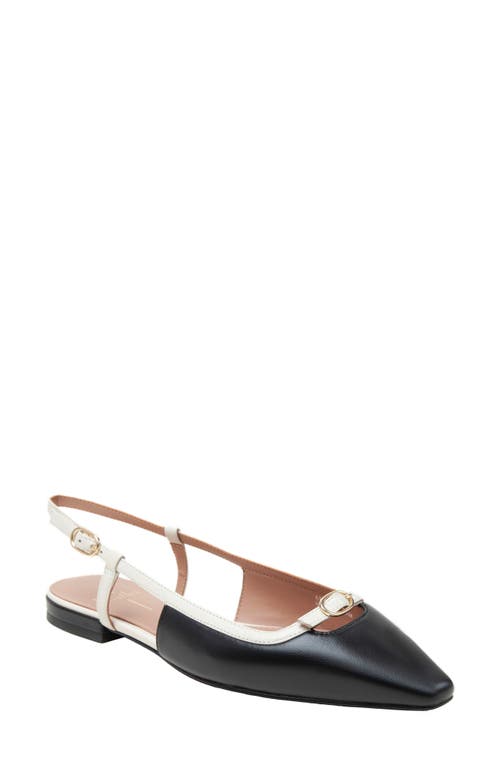 Linea Paolo Cassidy Pointed Toe Slingback Flat