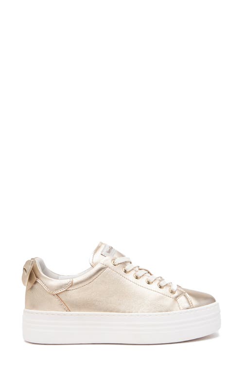 Nerogiardini Bow Platform Skate Sneaker In Gold