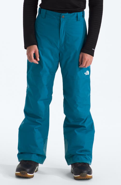 The North Face Kids' Freedom Waterproof Insulated Snow Pants In Blue