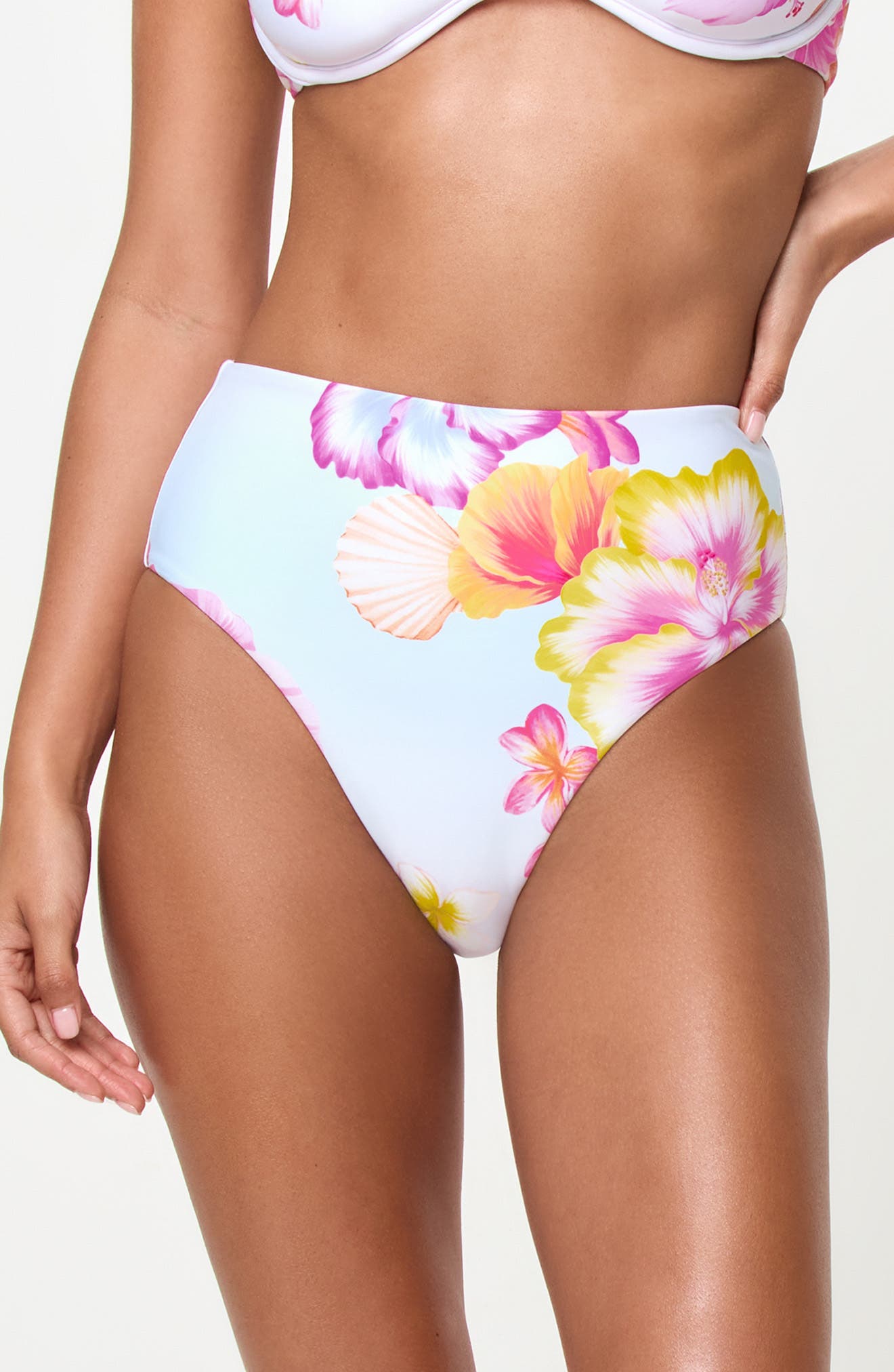 selected HIBISCUS AND PLUMERIAS OH MY