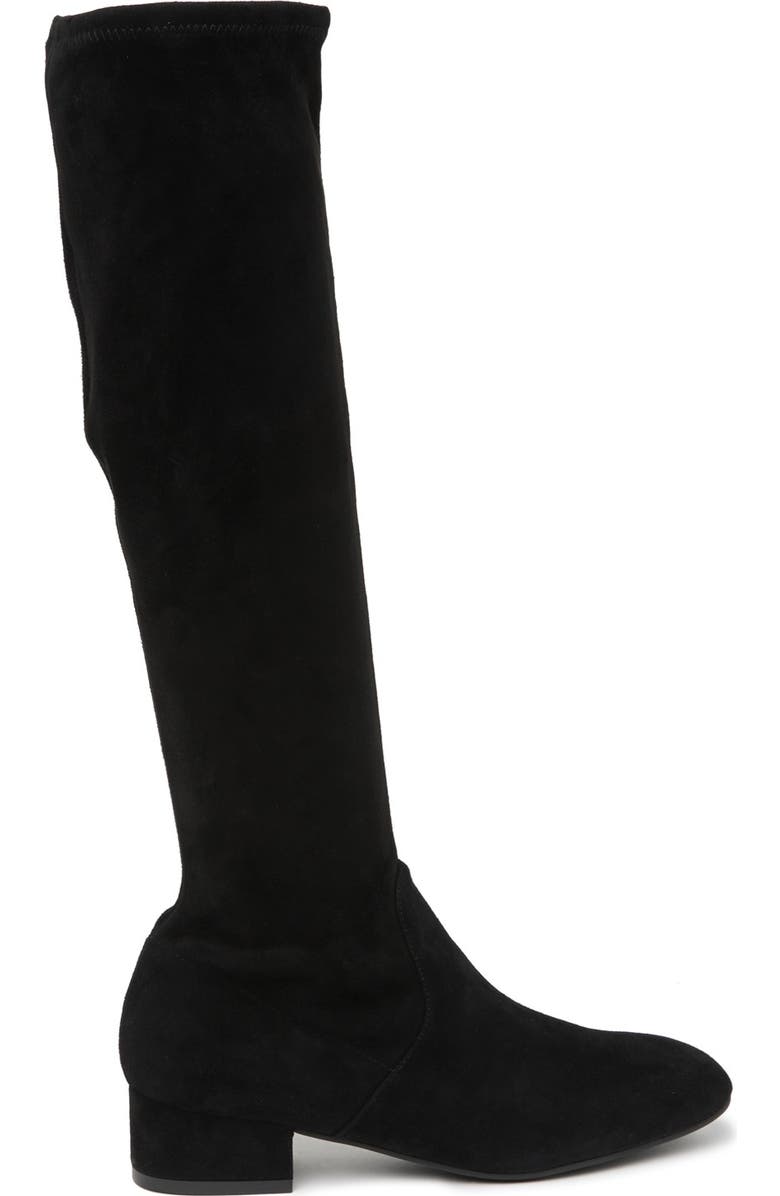 Stuart Weitzman Raissa Suede Tall Boot, Alternate, color,