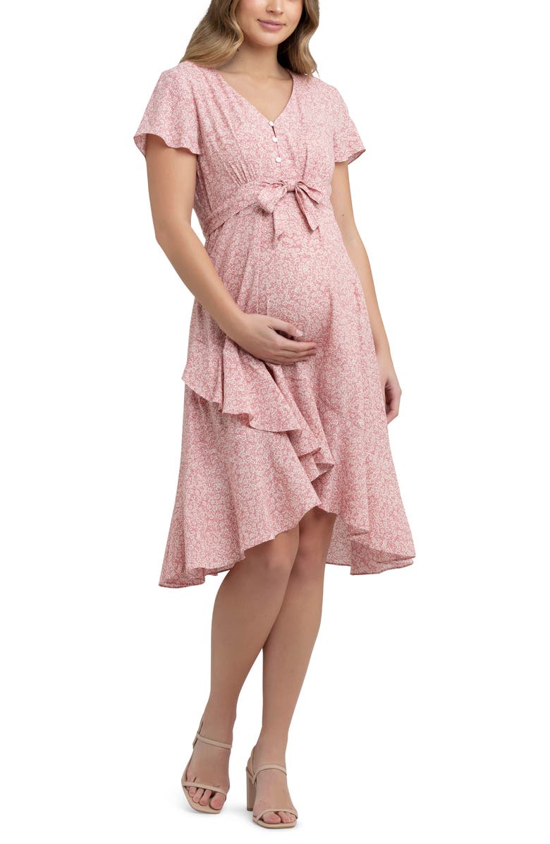 Ripe Maternity Vanessa Floral Print Maternity/Nursing Dress, Main, color, 