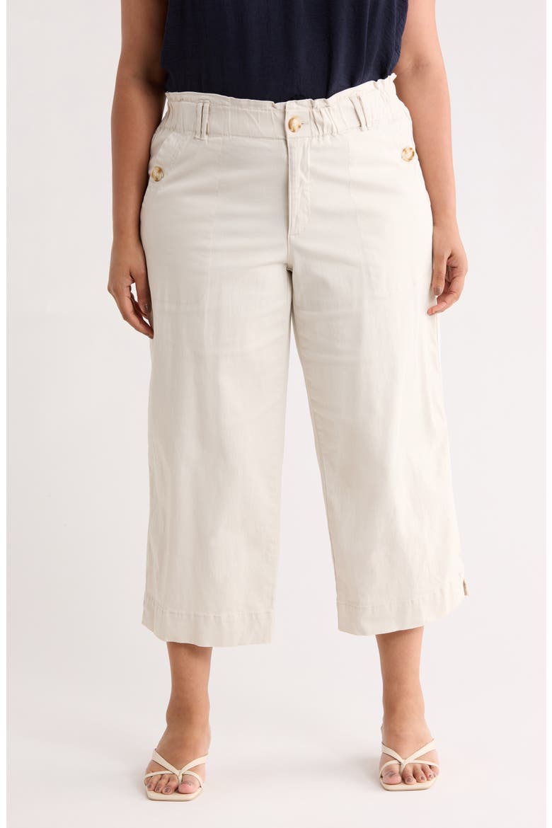 Button Pocket Crop Wide Leg Pants, Main, color, PALE STONE