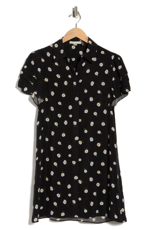 Jen Short Sleeve Shirt Dress