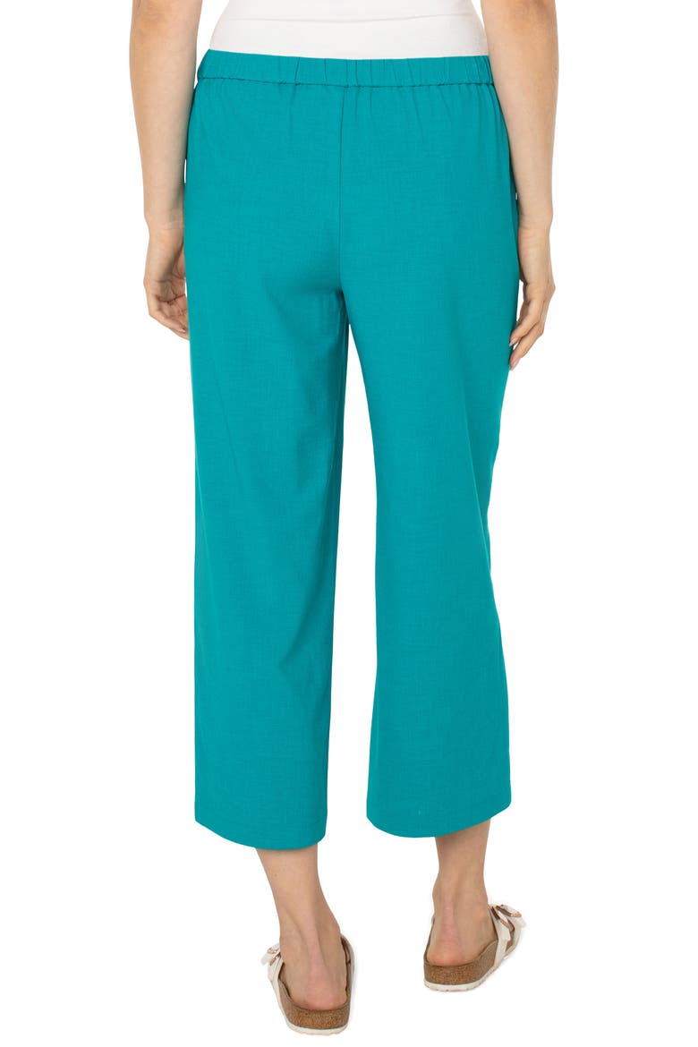 Pull-On Crop Wide Leg Pants, Alternate, color, LAKE BLUE