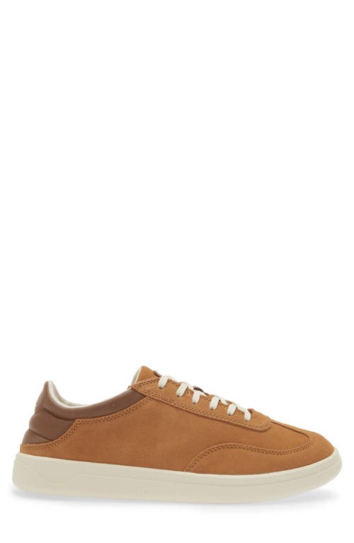 Olukai Men Punini Sneaker In Tan In Brown