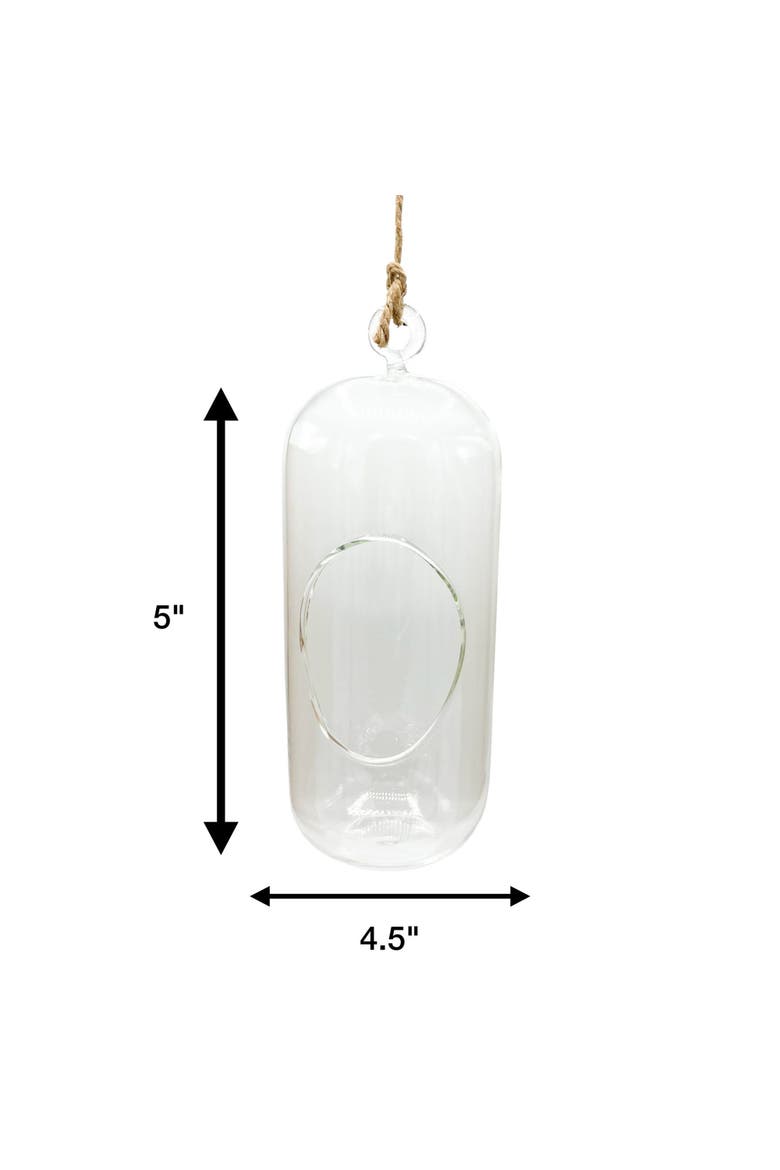 Carefree Capsule Glass Terrarium, 2 Pack, Alternate, color, Clear