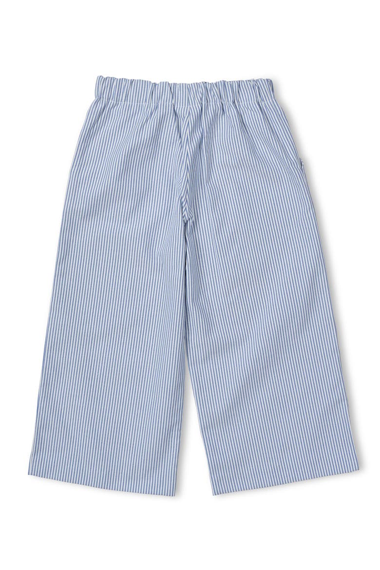 Stripe Button Front Pants, Alternate, color, Blue Seersucker