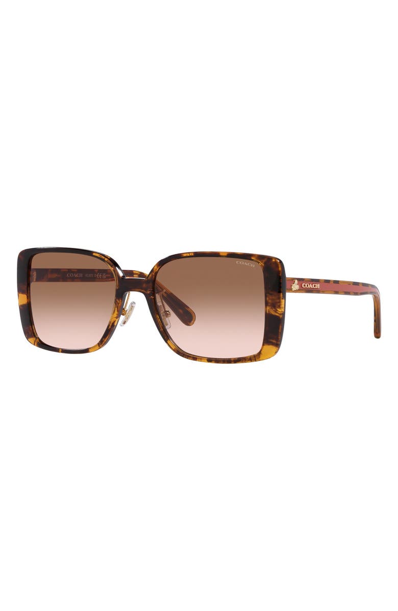 COACH 56mm Gradient Square Sunglasses, Alternate, color, Dark Tortoiseshell