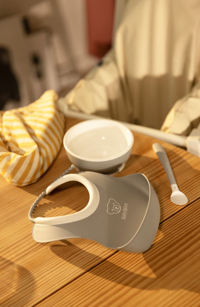 BabyBjörn Feeding Set, Alternate, color, Gray
