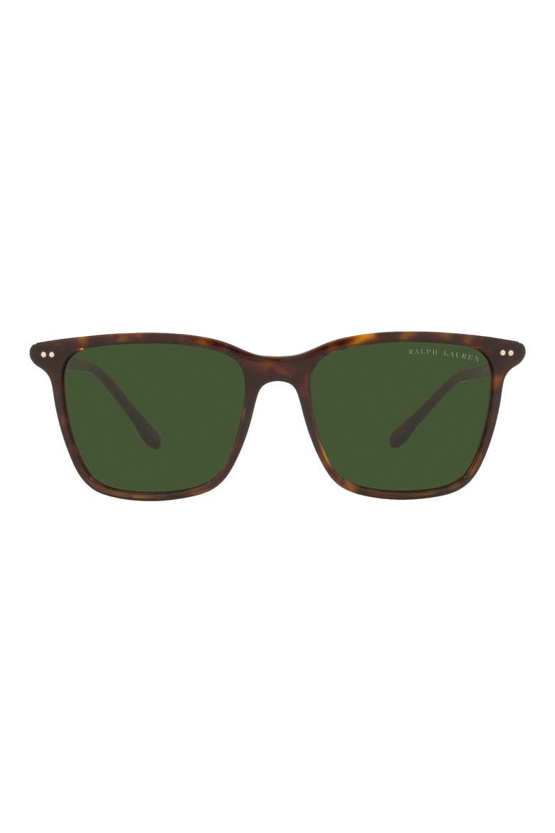 53mm Pillow Sunglasses, Main, color, SHINY DARK HAVANA / GREEN