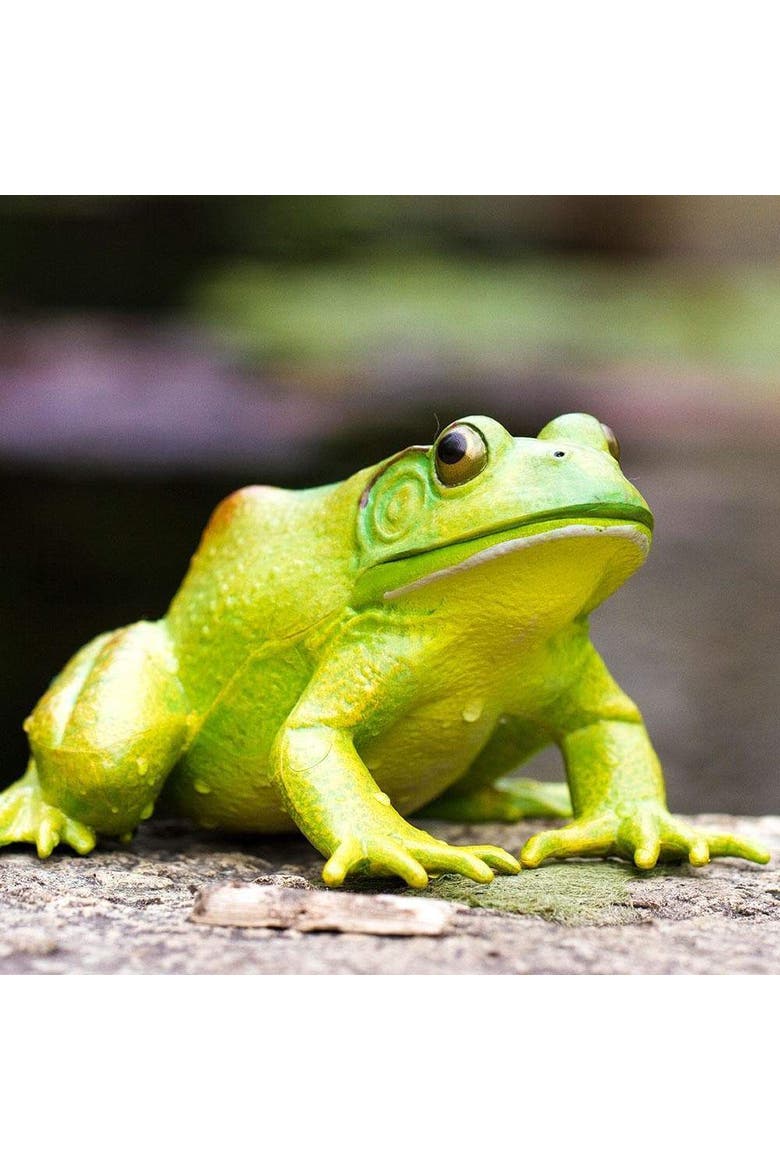 American Bullfrog Toy, Alternate, color, No Color