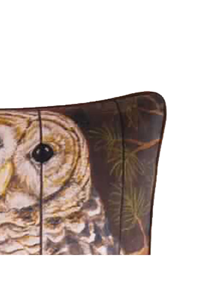 Owl Digital Print Throw Pillow, 18" x 18", Alternate, color, Brown