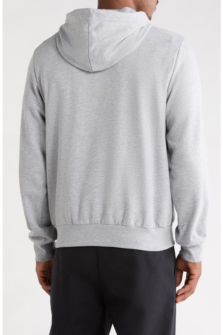 Evolution Graphic Hoodie, Alternate, color, TNF PALE GREY HEATHER