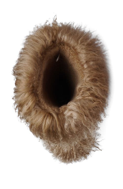 Zigi Risha Genuine Shearling Knee High Boot In Brown
