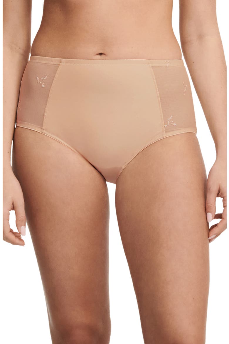 Every Curve High Waist Briefs, Main, color, BEIGE BLUSH-1N