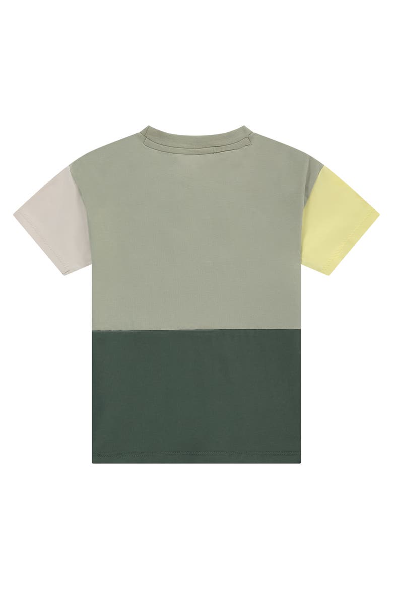 Colorblock Short Sleeve T-Shirt, Alternate, color, Pistachio