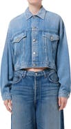 AGOLDE Palmer Denim Trucker Jacket