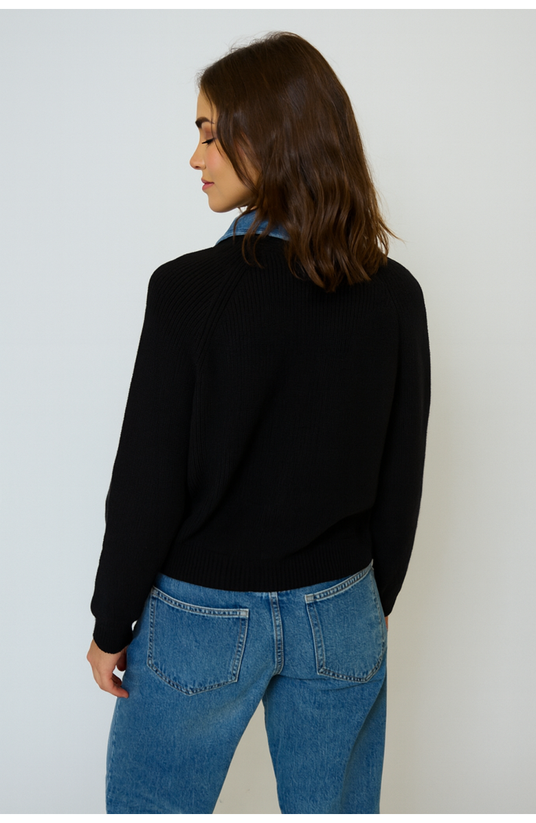 Central Park West Dash Denim Collar Pullover, Alternate, color, Black