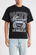 PacSun Crest Cotton Graphic T-Shirt