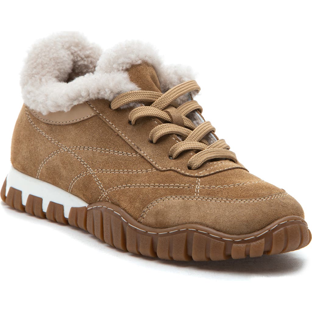 275 Central Qutie Genuine Shearling Lined Sneaker In Brown