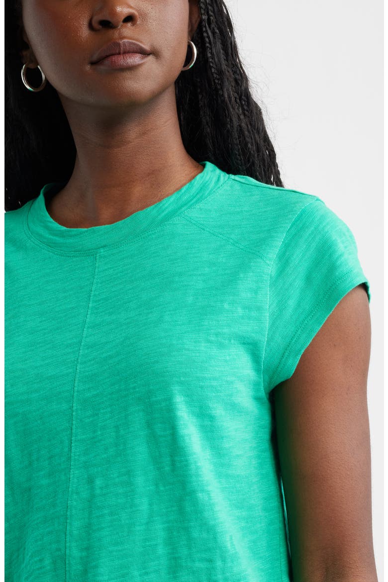 Short Raglan Sleeve Cotton Tee, Alternate, color, GREEN EASE