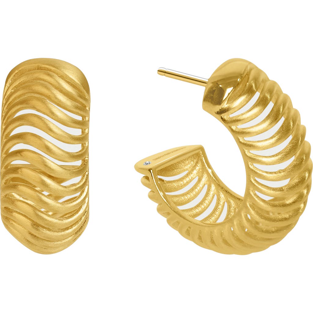 Dean Davidson Trancoso Hoop Earrings In Gold
