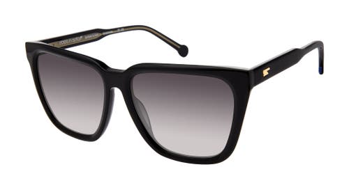 Colors In Optics Calypso Sunglasses In Glossy Black