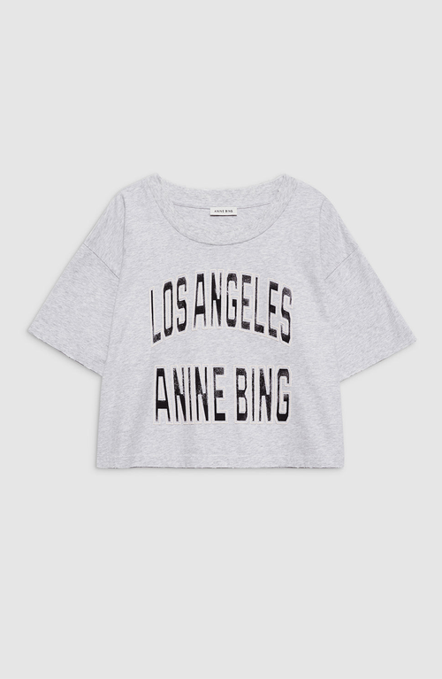 Anine Bing Graphic Print Cropped T-shirt With Short Sleeves In Gray