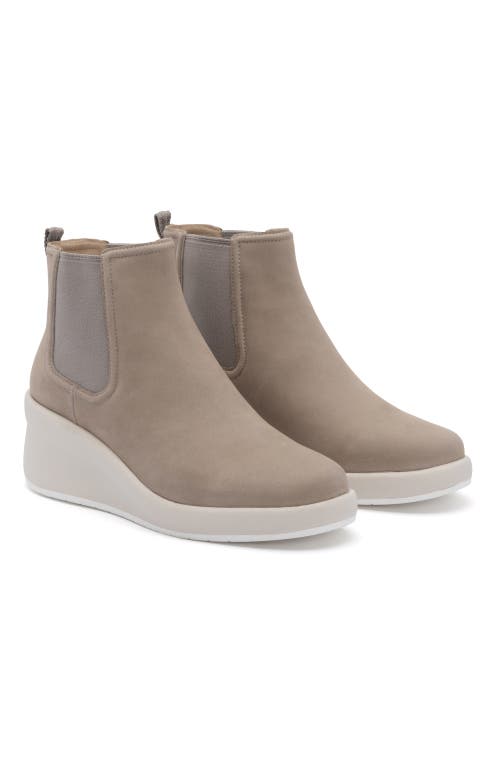 Abeo Passage Chelsea Boot In Tan - Regular