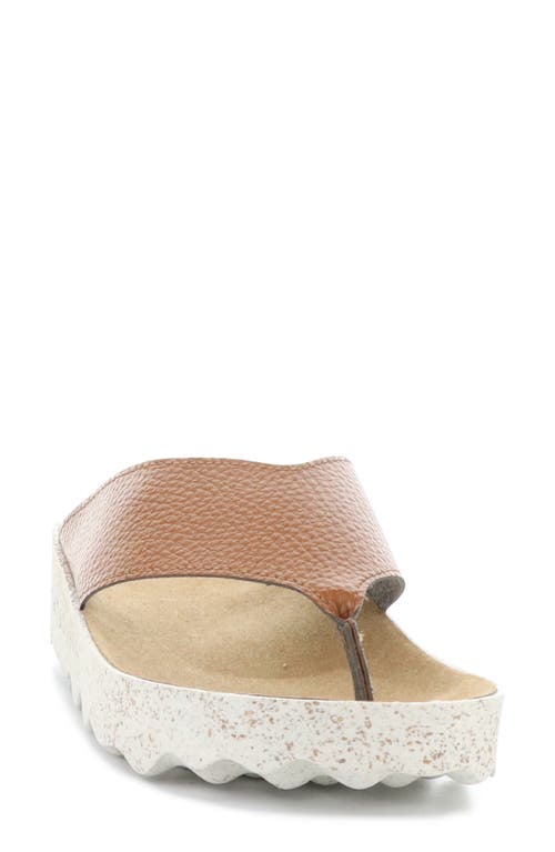 Asportuguesas By Fly London Cami Platform Flip Flop In Tan Eco Faux Leather