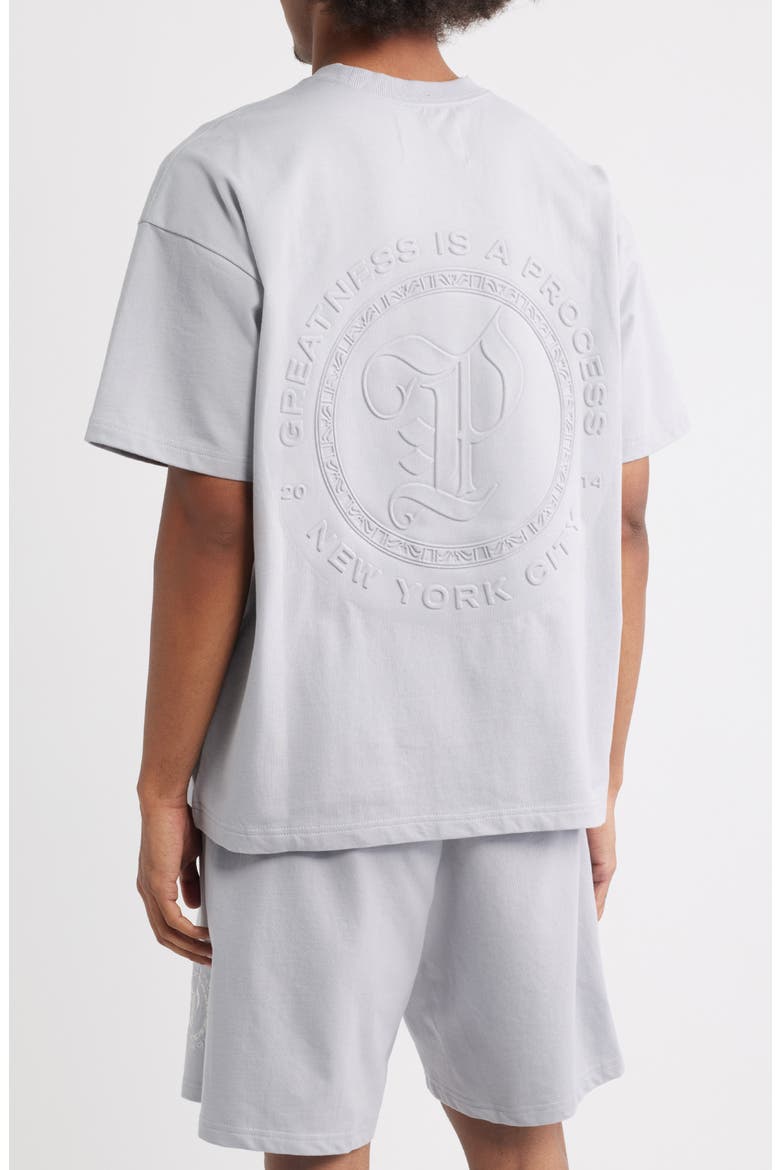Planest Terry Washed Graphic T-Shirt, Alternate, color, WASHED GREY