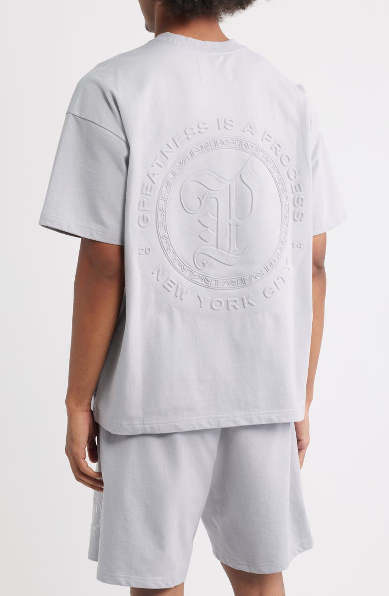 PAPER PLANES Planest Terry Washed Graphic T-Shirt, Alternate, color, Washed Grey