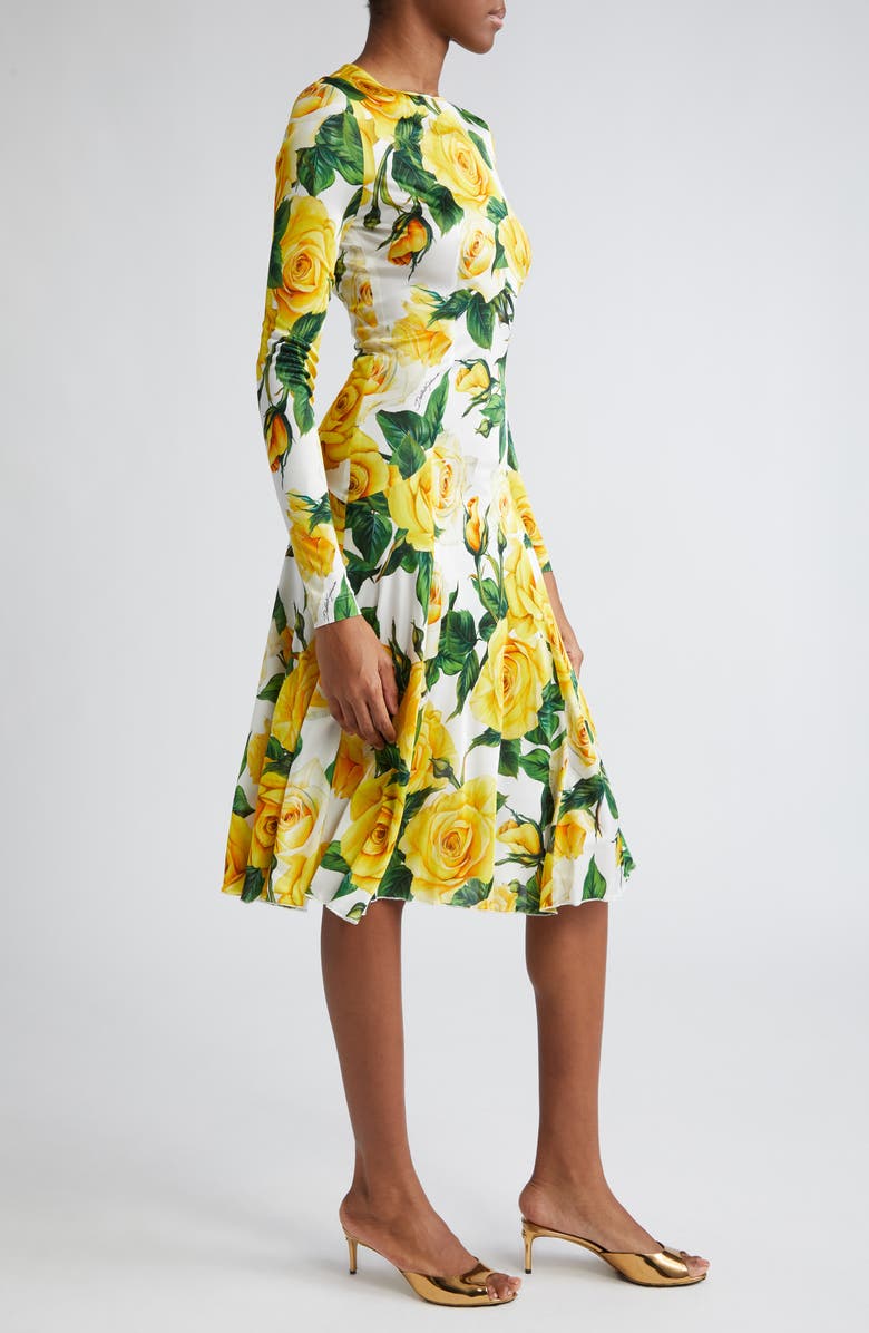 Dolce&Gabbana Rose Print Long Sleeve Dress, Alternate, color, 