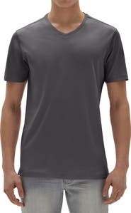 Robert Barakett Georgia Regular Fit V-Neck T-Shirt