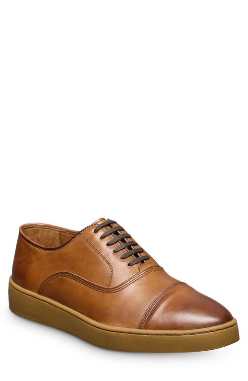 Allen Edmonds Park 2.0 Sneaker In Walnut