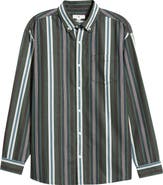 BP. Stripe Cotton Button-Down Shirt