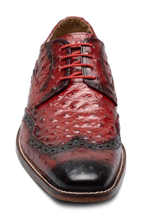 Stacy Adams Gennaro Wingtip Derby In Red