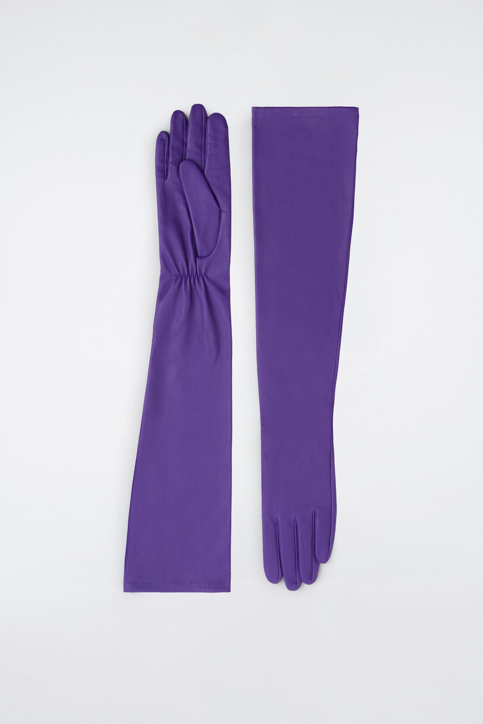 selected PURPLE