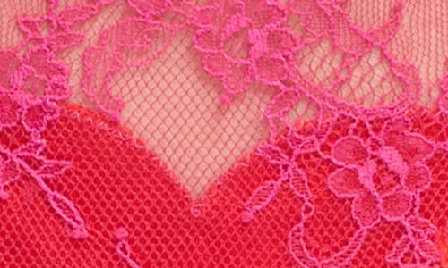 Dita Von Teese Zsa Zsa Lace Garter Belt In Purple