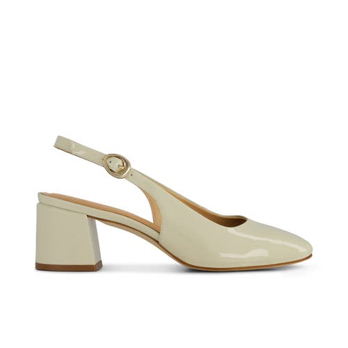 Shop Bernardo Footwear Alexia Slingback Pump In Eggshell