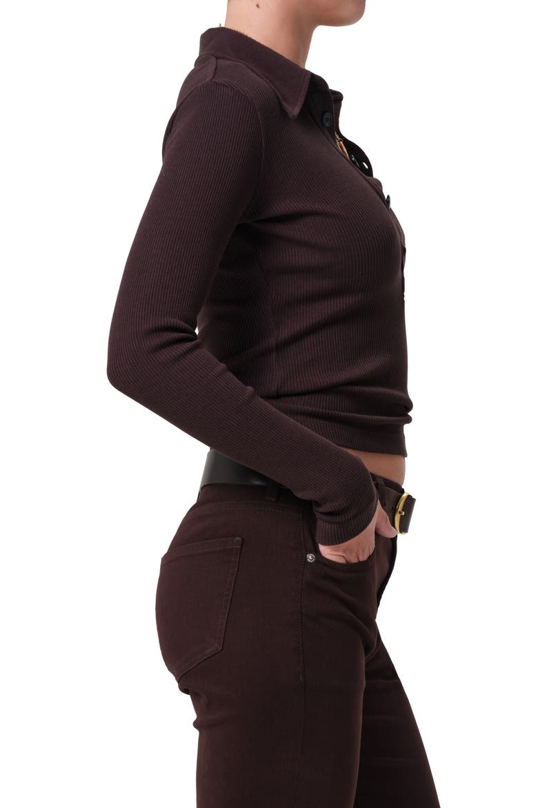 Long Sleeve Rib Polo, Alternate, color, CHOCOLATE