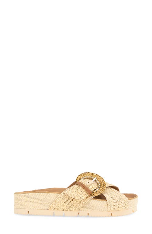 Shop Gentle Souls By Kenneth Cole Gentle Souls Louisa Buckle Sandal In Natural Raffia