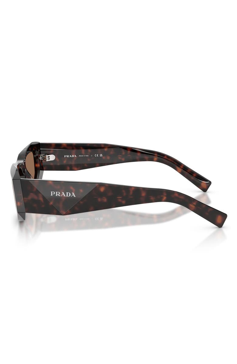 Prada 53mm Pillow Sunglasses, Alternate, color, Root Tortoise / Dark Brown