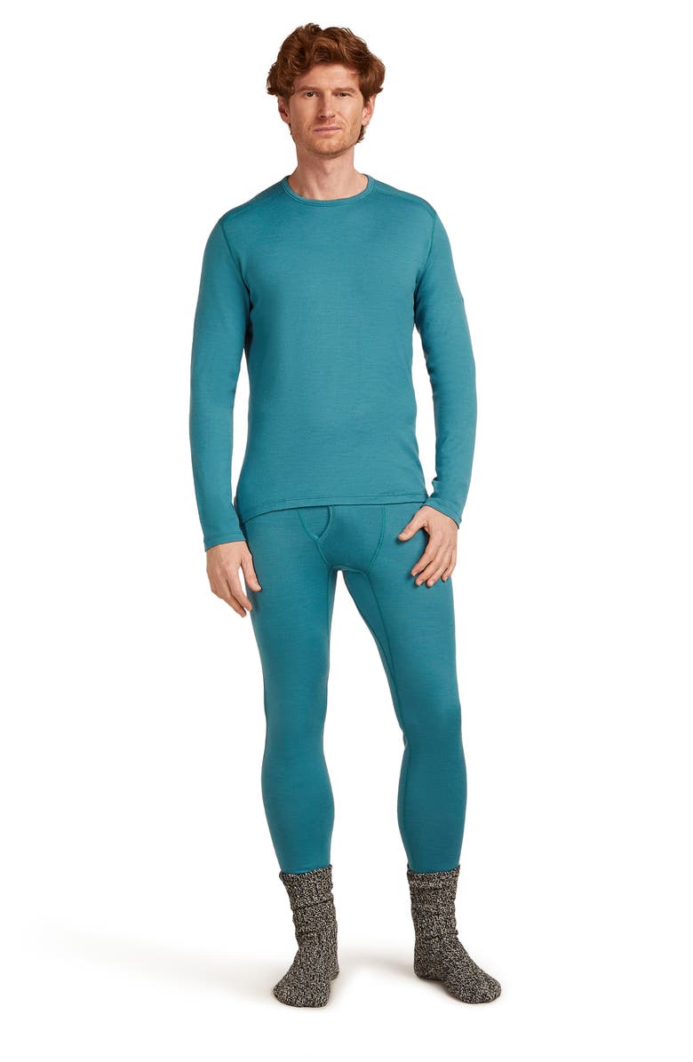 Icebreaker 260 Tech Merino Wool Crewneck Base Layer Top, Alternate, color, Topaz